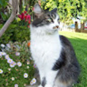 Meet your Posher, Sue